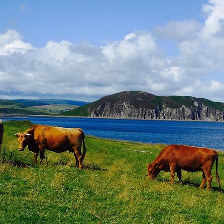 Rural Farmhouse On Kintyre, West Coast Hidden Gem Kildalloig Exterior photo